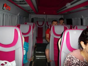 Mercedes TravegoSprinter  в Смоленске