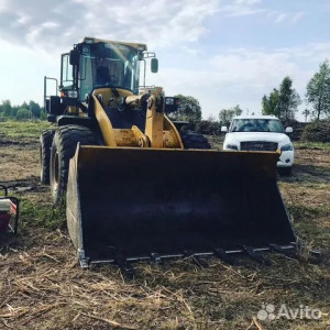  FABO  в Краснодаре