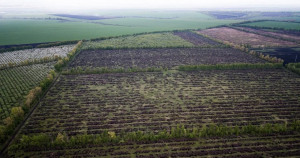  VALTRA 