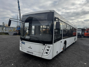 МАЗ 206047